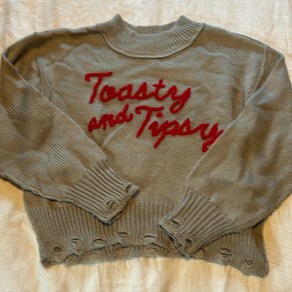 Wildfox toasty and tipsy sweater